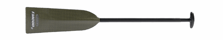 Dragon Boat paddle