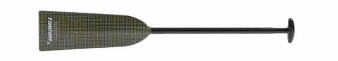 Dragon Boat paddle